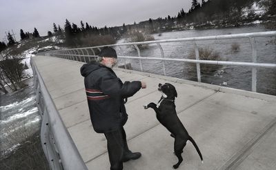 John Welch plays with his dog Angel as they cross the Sandifur Bridge on the Centennial Trail across the Spokane River on Thursday in Spokane.  (CHRISTOPHER ANDERSON / The Spokesman-Review)