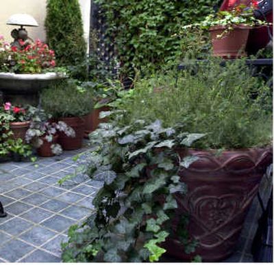 
Potted plants generally don't do well in a saturated environment.
 (File/ / The Spokesman-Review)