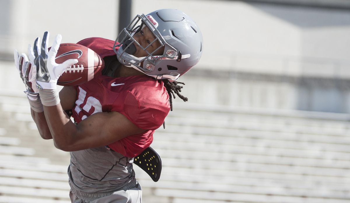 WSU receiver Tavares Martin Jr. hauls in a pass during practice on Thursday in Pullman. (Tyler Tjomsland / The Spokesman-Review)