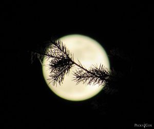 Full moon as seen from shores of Priest Lake on Feb. 22, 2016. (Pecky Cox)