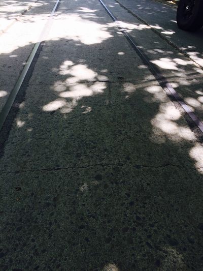 I took this picture Thursday afternoon, in case you are wondering about the light pattern.