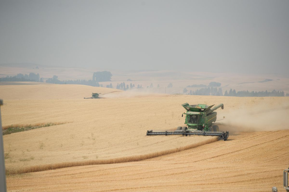 Jordan Green harvests wheat in a combine Wednesday, Aug. 30, 2017, near Fairfield, Washington. (Tyler Tjomsland / The Spokesman-Review)