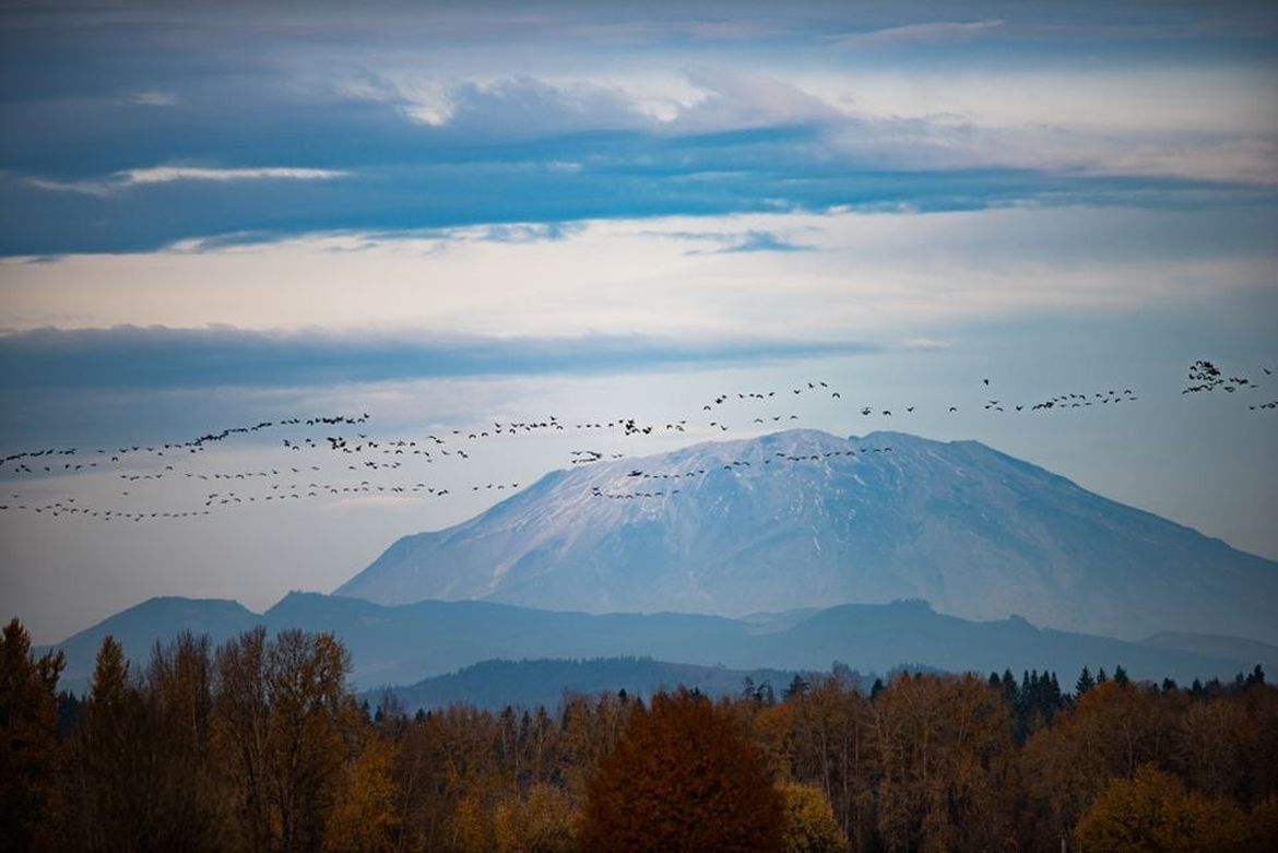 Snowboarder falls to death at Mount St. Helens after cornice collapse