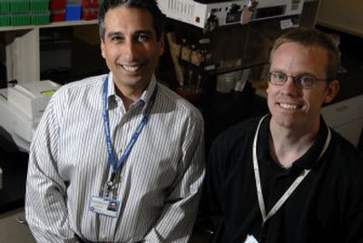 
Dr. Bassem Bajjani, left, co-director of Sacred Heart's molecular diagnostic lab, and Todd Christensen, lab scientist for research and development, are seeking a grant to develop a synthetic molecule that would improve genetic testing. 
 (Jed Conklin / The Spokesman-Review)