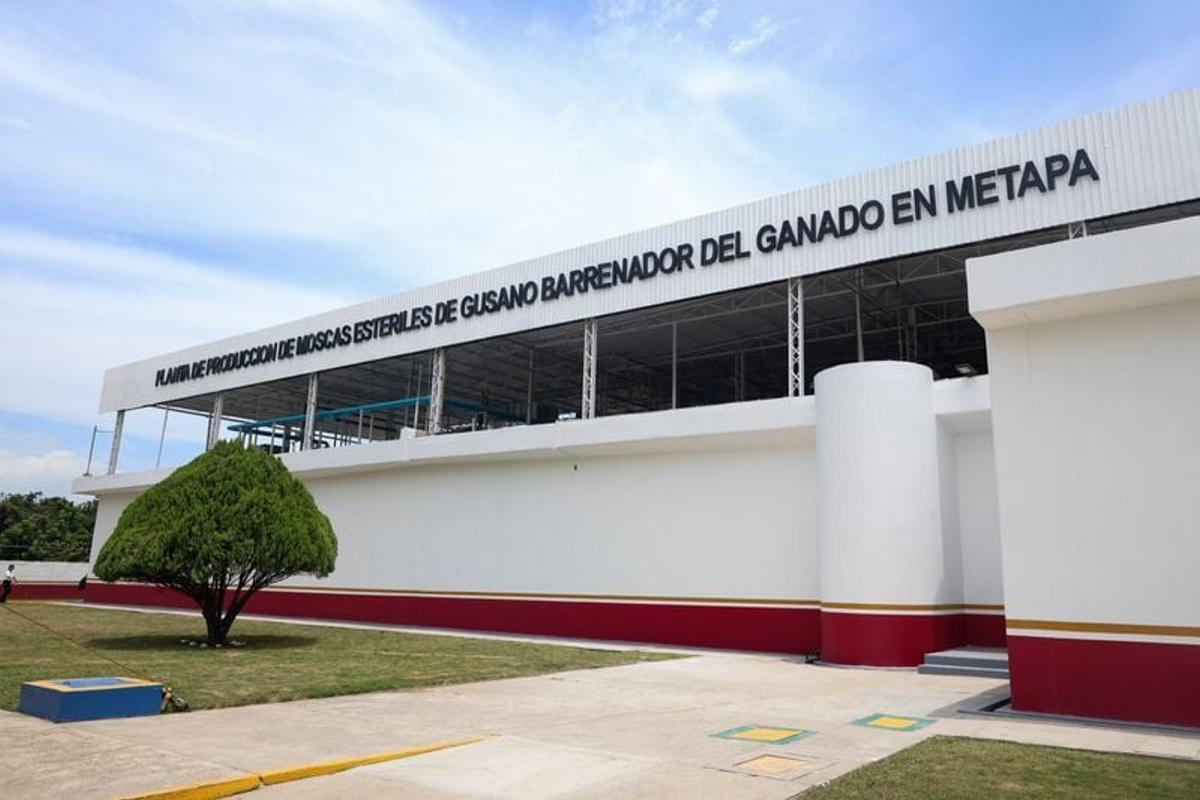 A view of the facade of a recently inaugurated sterile fly production plant during a media tour following its opening, a key step to contain the cross-border spread of the New World screwworm and its impact on cattle trade on Saturday in Metapa de Dominguez, Chiapas, Mexico.  (Reuters )