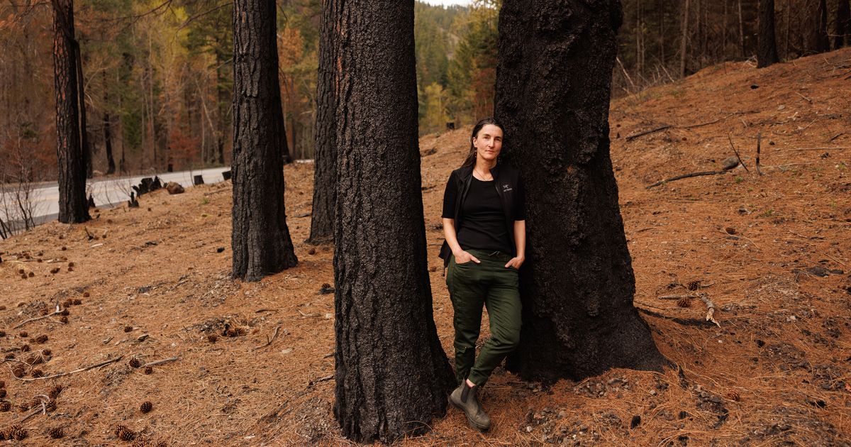 As Wildfire Risks Rise, Forest Service Shutters Labs That Study Them
