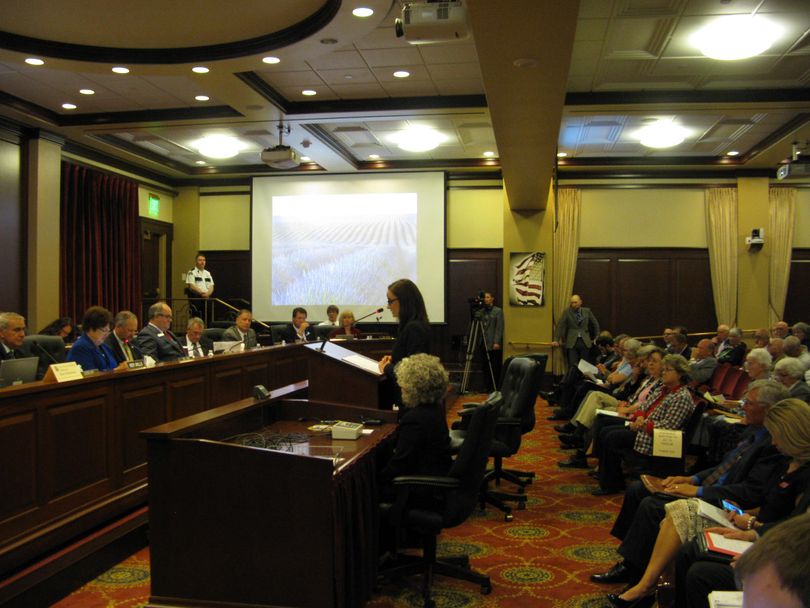 Lauren Necochea testifies on the child support bill on Monday (Betsy Z. Russell)