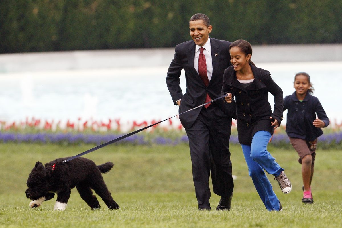 In this April 14, 2009, photo, Malia Obama runs with Bo, followed by President Barack Obama and Sasha Obama, on the South Lawn of the White House in Washington. Former President Barack Obama’s dog, Bo, died Saturday, May 8, 2021, after a battle with cancer, the Obamas said on social media.  (Ron Edmonds)