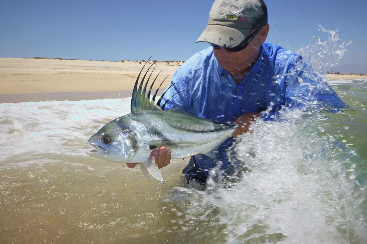 Soaked by crashing waves, Baja fly fishing guide Jeff DeBrown prepares to release a roosterfish. (Rich Landers / The Spokesman-Review)