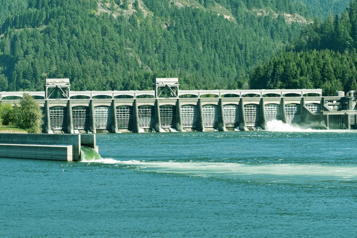 Dams have begun looking for solutions to provide energy while helping fish populations, such as adding fish ladders. (Courtesy Northwest RiverPartners)
