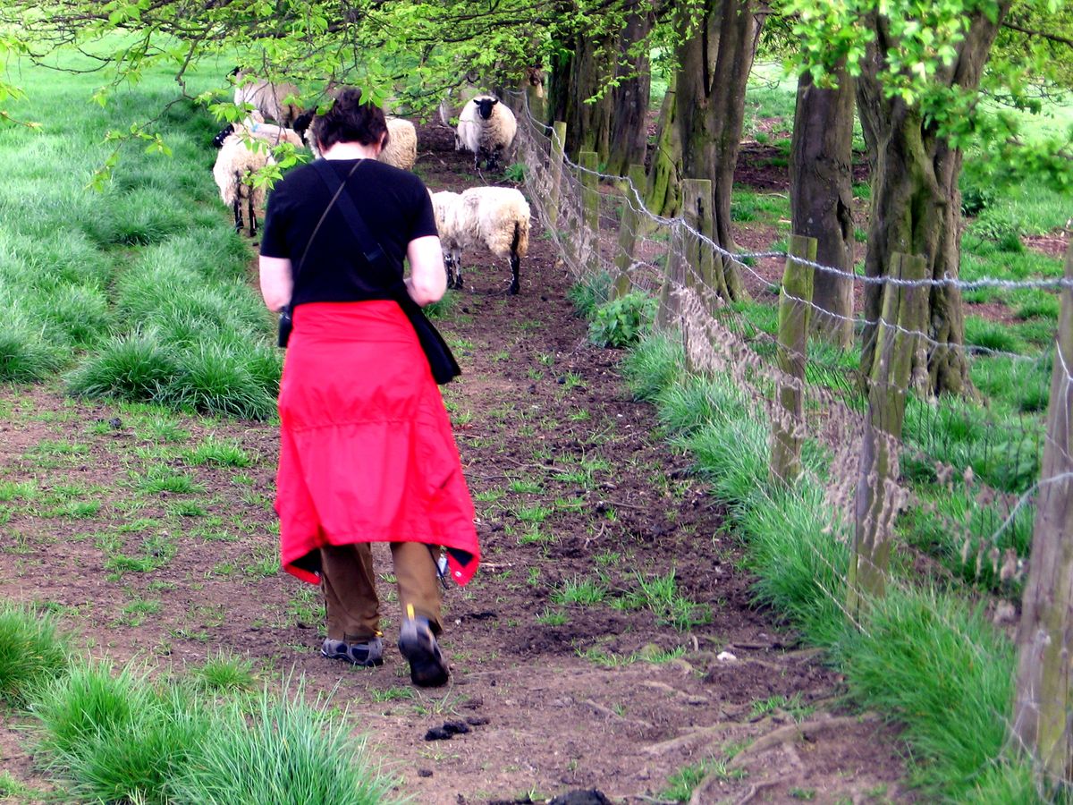 A typical country ramble in the Cotswolds, through a sheep pasture. (The Spokesman-Review)