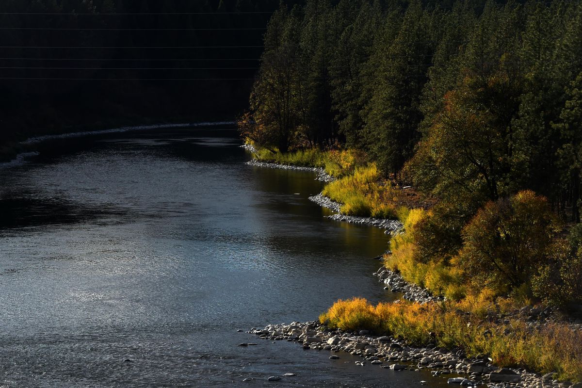 The riverbank at Riverside
State Park. (Tyler Tjomsland / The Spokesman-Review)
