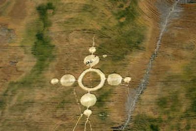 
A  view from Greg's Crop Care plane shows visitors inspecting a cluster of crop circles west of Wilbur, Wash., on Wednesday. The circles appeared in late June and were discovered by someone cruising Birchill Road. 
 (Brian Plonka / The Spokesman-Review)