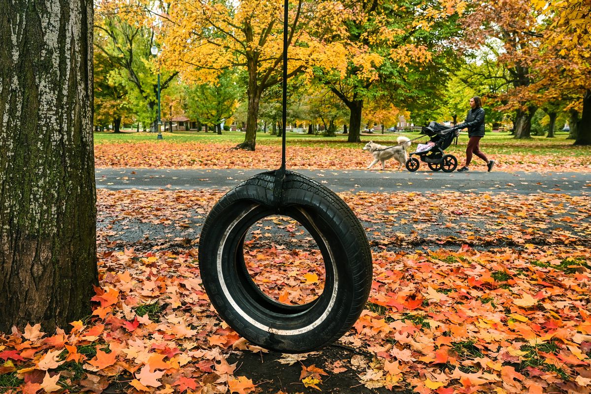 Kat Skye Wagner, along with her daughter, Nora Skye Wagner, and dog Skye, pass a tire swing during a walk around the fall colors and leaves of Corbin Park on Wednesday.  (DAN PELLE/THE SPOKESMAN-REVIEW)