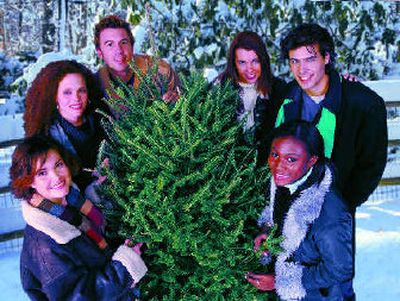 With so many species available, you can find the perfect Christmas tree.
(Metro / The Spokesman-Review)