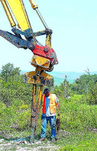 
Jose Alvarez loads one of nearly 8,000 native plants into an expandable stinger attached to an excavator as part of a Lapwai Creek restoration project in Lapwai, Idaho, on May 17. 
 (Associated Press / The Spokesman-Review)
