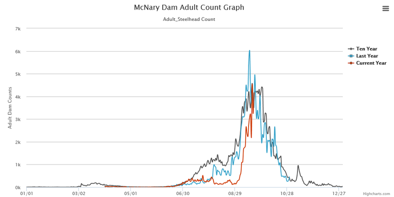 Steelhead counts compared at McNary Dam, the last Columbia River dam the fish cross before entering the Snake River (Fish Passage Center)