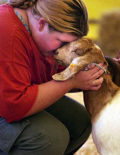 
Amy Schudel talks with Alesia Sterner's Boer goat Sweet Baby Girl during the USBGA Official Boer Goat Show at the Spokane Interstate Fair Tuesday. 
 (Liz Kishimoto / The Spokesman-Review)