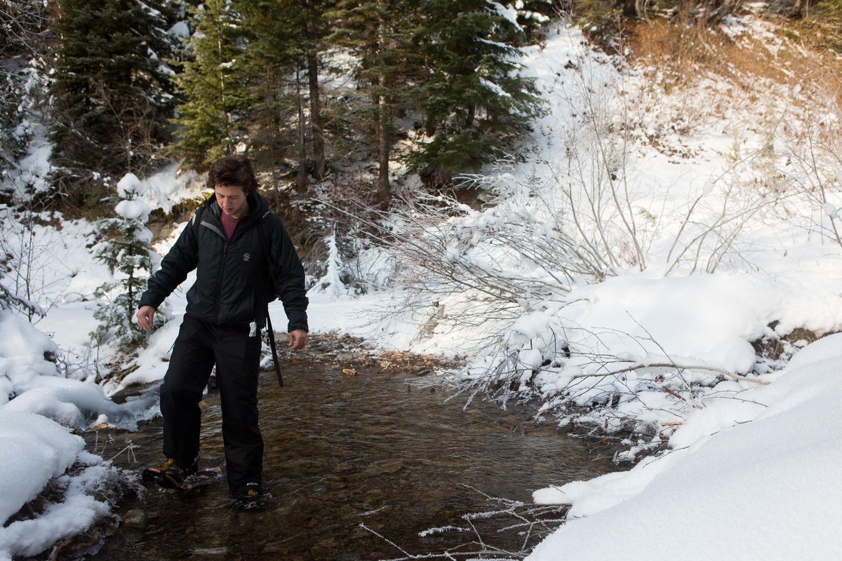 Leo Francovich wades through a stream in Northern Idaho. (Eli Francovich / The Spokesman-Review)