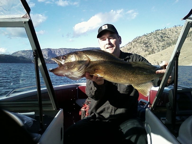 Steve Alexander of Spokane Valley hooked this 32-inch-long, 10-pound walleye while fishing the Goat Farm area of Lake Roosevelt on Oct. 21, 2011. (Mike Speer)