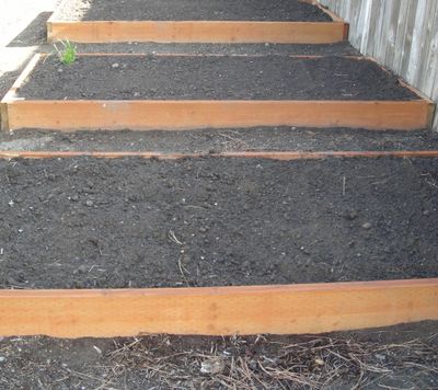 Soil Building! (Maggie Bullock)