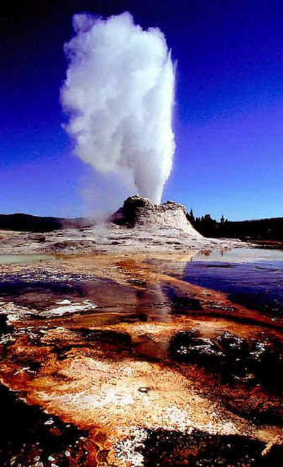 
The Castle Geyser erupts inside Yellowstone National Park, Wyo., in this undated photo provided by the University of Utah. The massive earthquake that hit Alaska in 2002 set off a flurry of smaller quakes in faraway Yellowstone National Park and altered the activity of thermal features in the park causing a few geysers, including Castle Geyser, to erupt more often and others, less. Castle Geyser has reportedly fewer eruptions since the Alaska quake. The Castle Geyser erupts inside Yellowstone National Park, Wyo., in this undated photo provided by the University of Utah. The massive earthquake that hit Alaska in 2002 set off a flurry of smaller quakes in faraway Yellowstone National Park and altered the activity of thermal features in the park causing a few geysers, including Castle Geyser, to erupt more often and others, less. Castle Geyser has reportedly fewer eruptions since the Alaska quake. 
 (Associated PressAssociated Press / The Spokesman-Review)
