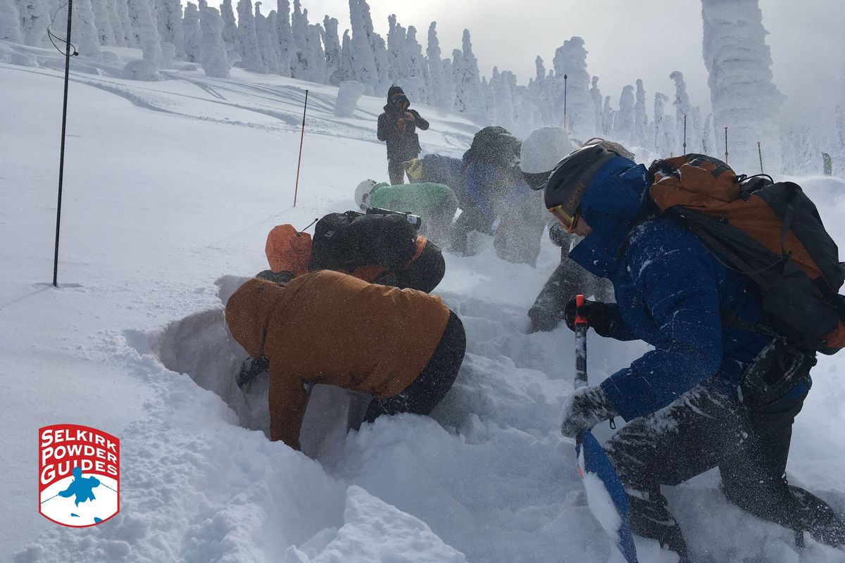 Students practice digging snow observation "pits" in an AIARE 1 course at Selkirk Powder in 2019.  (Kevin Dombrock/Selkirk Powder)