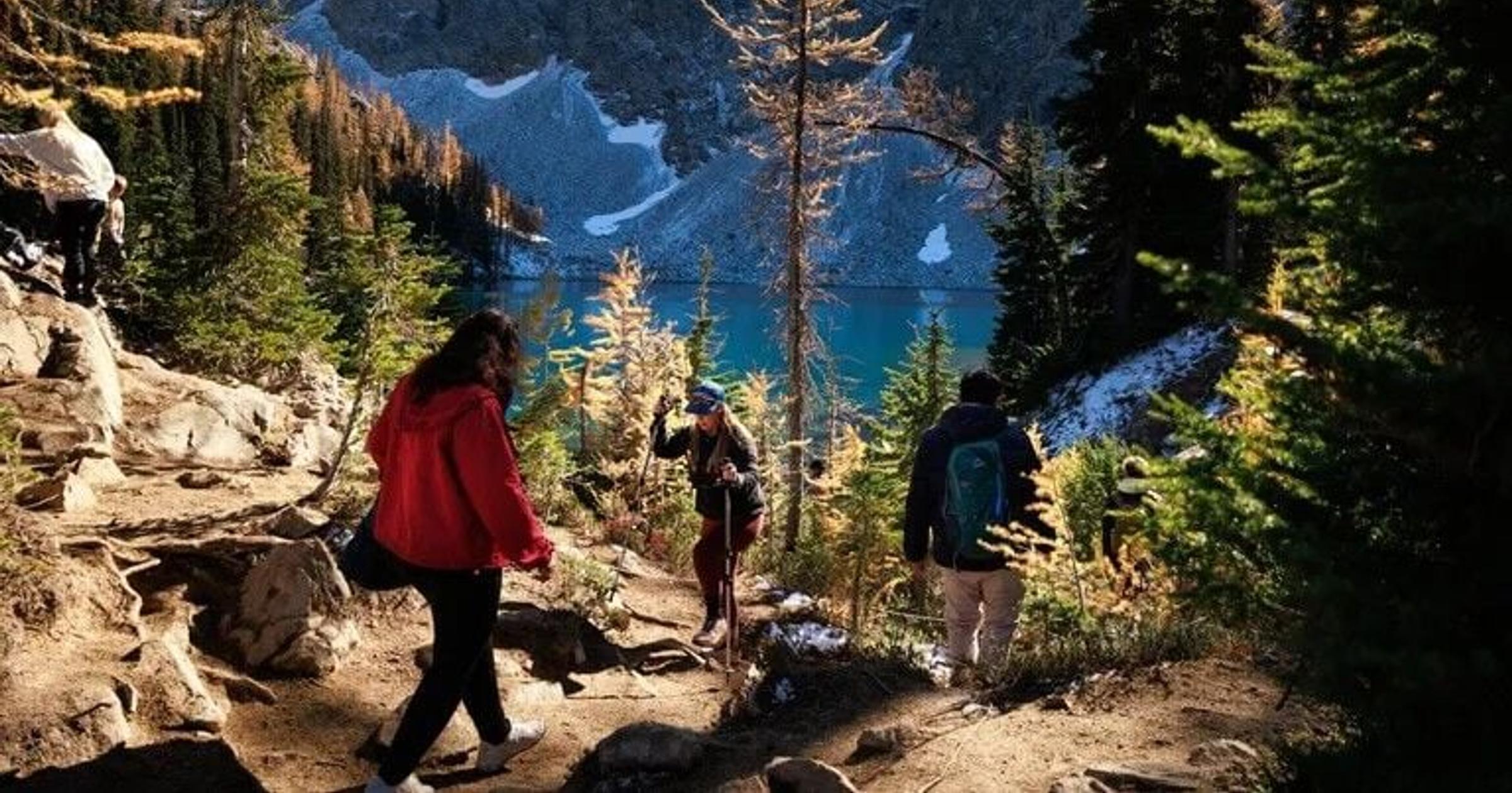 Larches could face changes in warming Pacific Northwest
