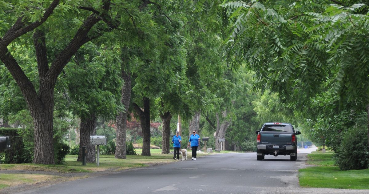 Programs bring shade to Spokane neighborhoods