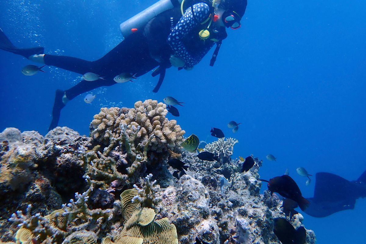 Ava Shearer scuba dives at Australia’s Great Barrier Reef in 2020. The 17-year-old marine science student and snorkeling guide wonders what will be left of the imperiled ecosystem by the time she finishes her degree at Australia’s James Cook University.  (HONS)