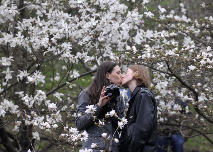A couple shares a kiss near blossoming colors of a magnolia in Kiev, Ukraine, Tuesday, April 20, 2010. The temperature in the Ukrainian capital is about 11 Celsius (52 F) on Tuesday. (Sergei Chuzavkov / Associated Press)