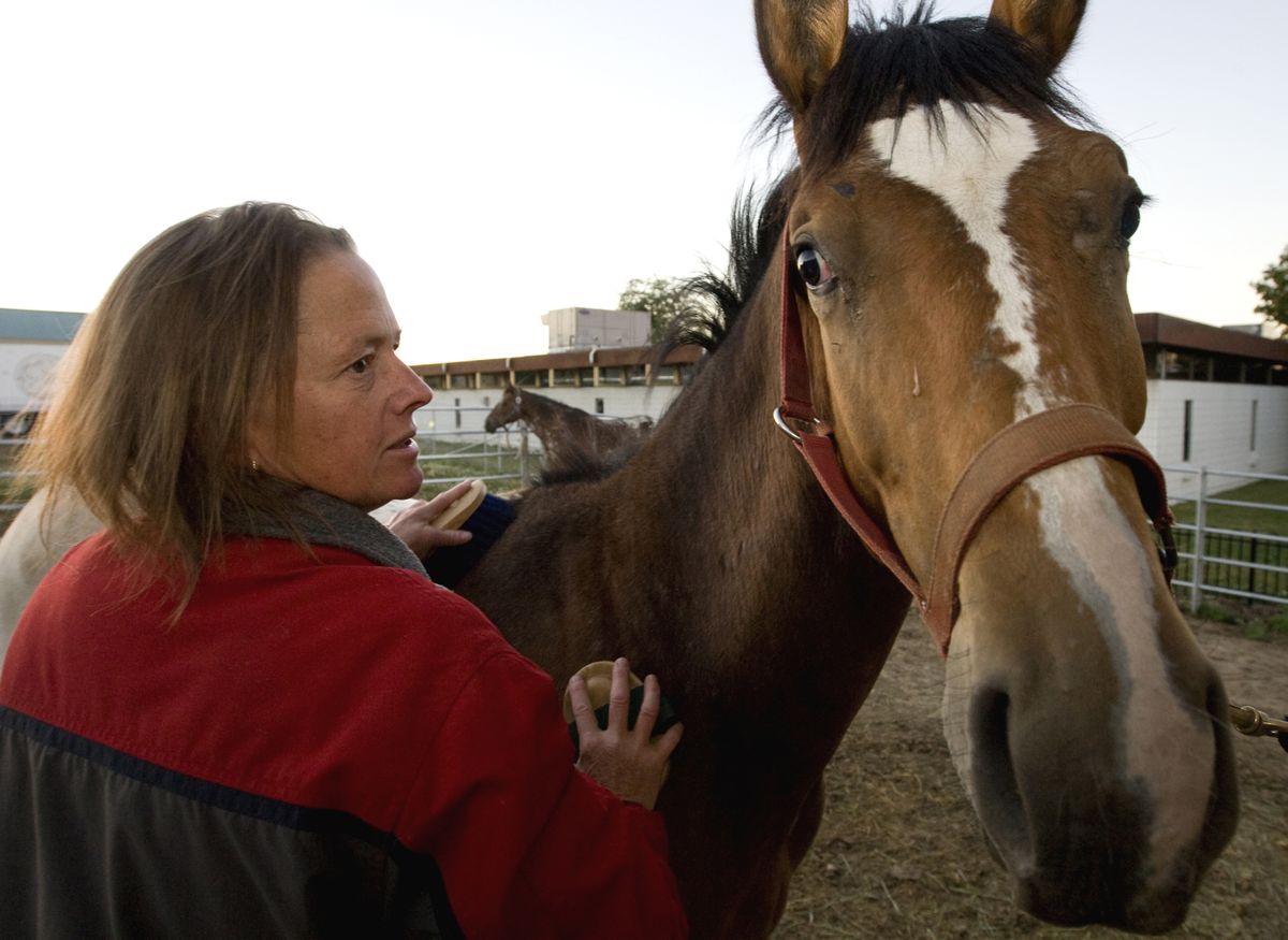 The Spokesman Review Katharine Beyerlein, assistant director of the Appaloosa Museum in Moscow, Idaho, works Thursday with E Arrow Paha, a young Appaloosa horse. (photos by TYLER TJOMSLAND The Spokesman Review / The Spokesman-Review)