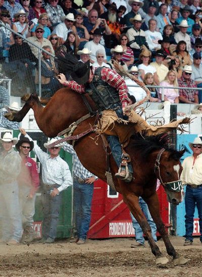 
Rod Hay, of Weldwood, Alberta, rides Slippery for 85 points during saddle bronc riding at the Pendleton Round-Up on Saturday. The rodeo is no longer giving away chewing tobacco.
 (Associated Press / The Spokesman-Review)