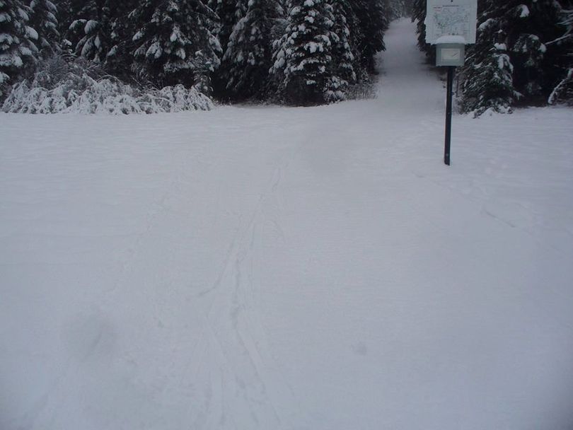 Enough snow fell to make ski tracks on Mount Spokane's nordic ski trails on Dec. 19.  (Cris Currie)