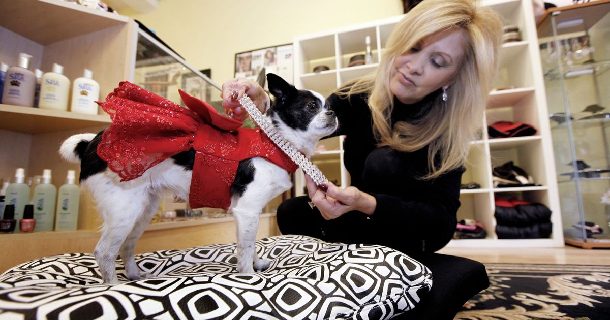 Video cameras for collars, treadmills among pet shop offerings The