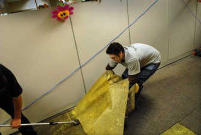 
Brandon Englund of Servicemaster pulls carpet Tuesday at the county Elections Office. 
 (Brian Plonka / The Spokesman-Review)