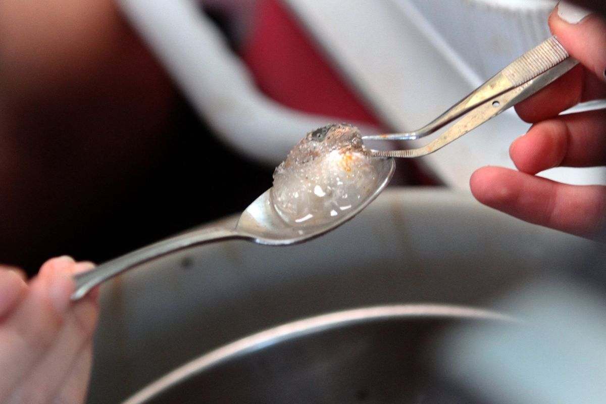 Students use tweezers and a spoon to gather specimens collected by a one-meter net.