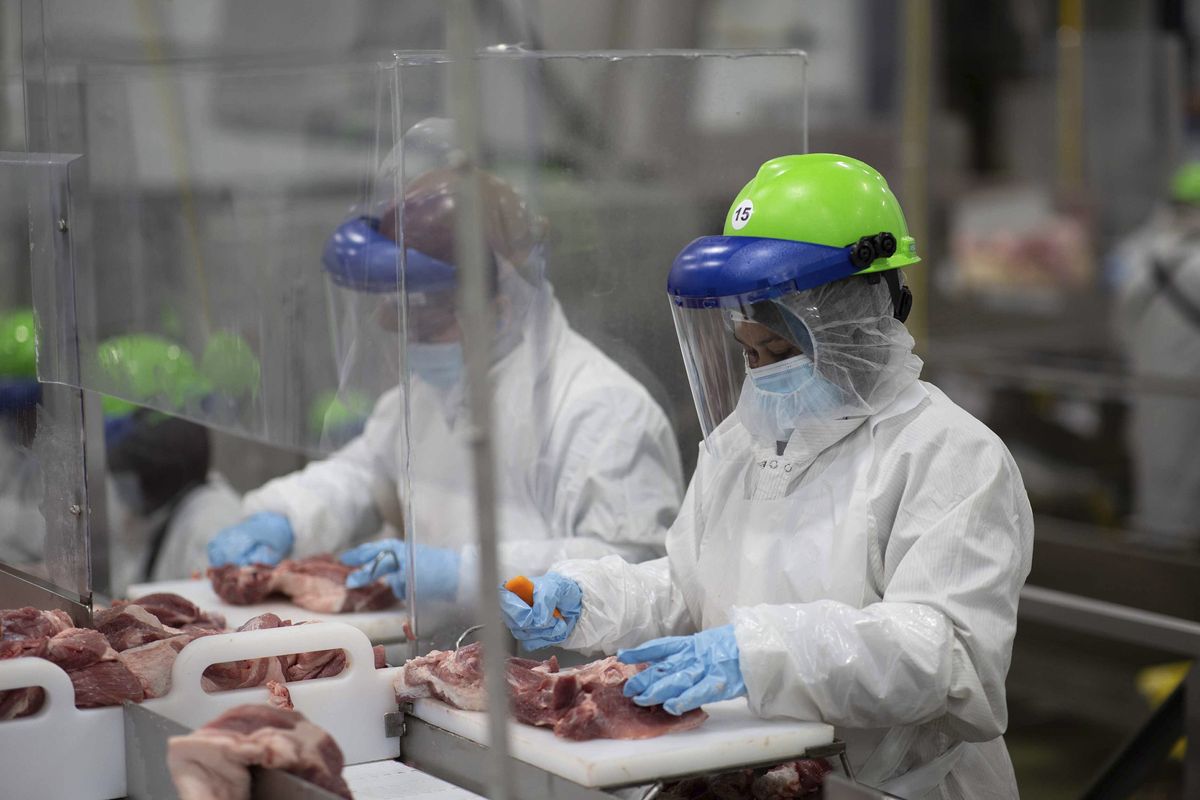 This May 20 photo provided by Smithfield Foods shows some of the measures the company claims it has taken to limit the spread of the novel coronavirus inside its processing plants. Workers inside its Sioux Falls, South Dakota, pork processing plant wear protective gear and are separated by plastic partitions as they carve up meat.  (Associated Press)