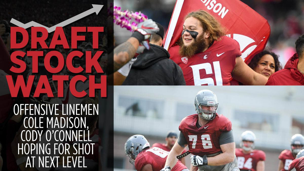 Washington State Cougars offensive linemen Cole Madison (top) and Cody O’Connell helped anchor WSU’s line over the past few seasons in Pullman. (Tyler Tjomsland / The Spokesman-Review)