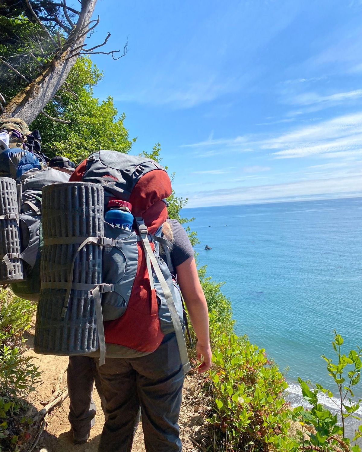 Police Adventure League students overlook the Pacific Ocean on an Olympic Peninsula backpacking trip in 2023.  (Courtesy)