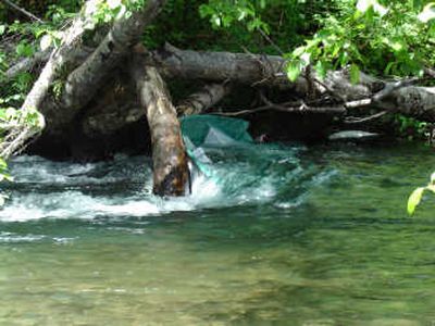 
William Messenger and Jarrad Todd were fishing from this boat Sunday when it became lodged against a logjam. Messenger's fingers were pinned. Associated Press
 (Associated Press / The Spokesman-Review)