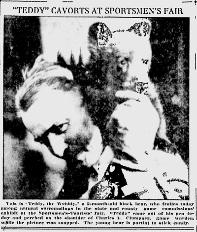 On this day 100 years ago, visitors of the Spokane Sportsmen’s-Tourist Show got to meet Teddy the Wobbly, a black bear cub that had been found by members of the Industrial Workers of the World in a forest in Pacific County.  (S-R archives)