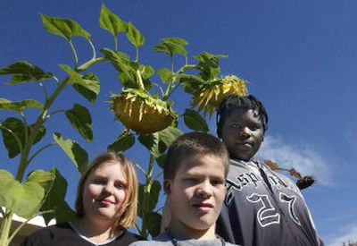 
Bancroft Center students planted a garden.
 (The Spokesman-Review)