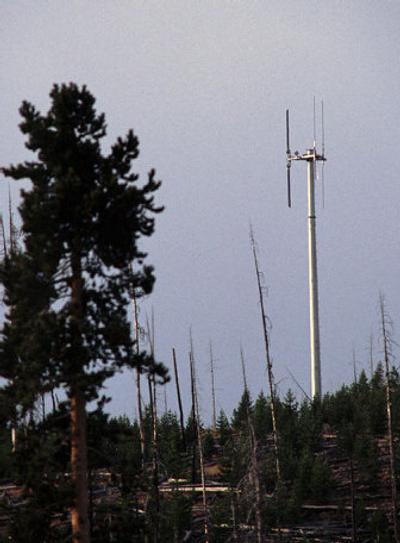 
A cellular phone tower stands in the vicinity of the Old Faithful geyser. Park officials have sought industry input on the possibility of more towers in 