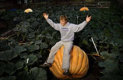 
Adam Blalock, 18, is all smiles on top of his giant pumpkin. In the background are two other pumpkin beasts: 