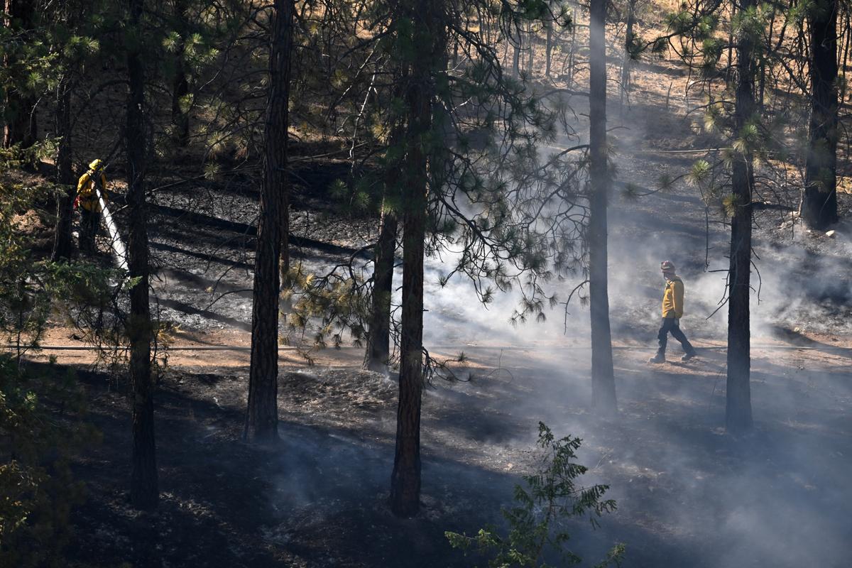 A firefighter, left, sprays water onto the smoldering forest floor near the Spokane River not far from the Spokane Falls Community College to control a suspicious wildfire on Tuesday, July 8, 2025. A larger fire blackened the hillside closer to the college and this fire started just a few hundred yards away. (Jesse Tinsley/THE SPOKESMAN-REVIEW)