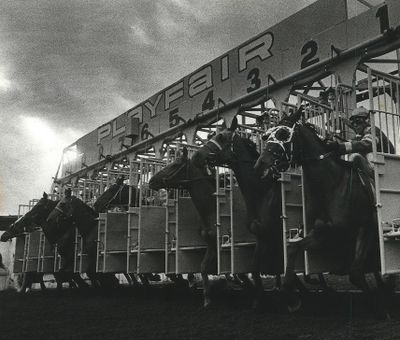 The start of a horse race at the Playfair Race Track in the early 1980s.  (Steve Thompson/The Spokesman-Review)