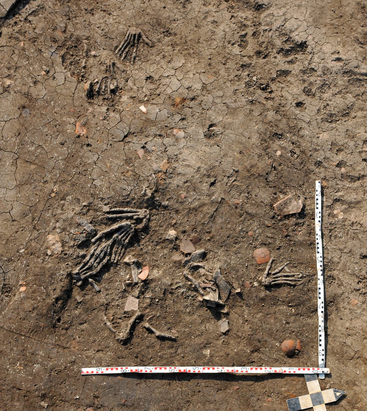 A photo provided by Julia Gresky shows an overview of the 11 right hands found in two pits in present-day Tell el-Dab’a, Egypt, in 2011. Archaeologists have offered a new explanation for one of the century’s grislier finds, “a carefully gathered collection of hands” in a 3,500-year-old temple.  (Julia Gresky/New York Times)