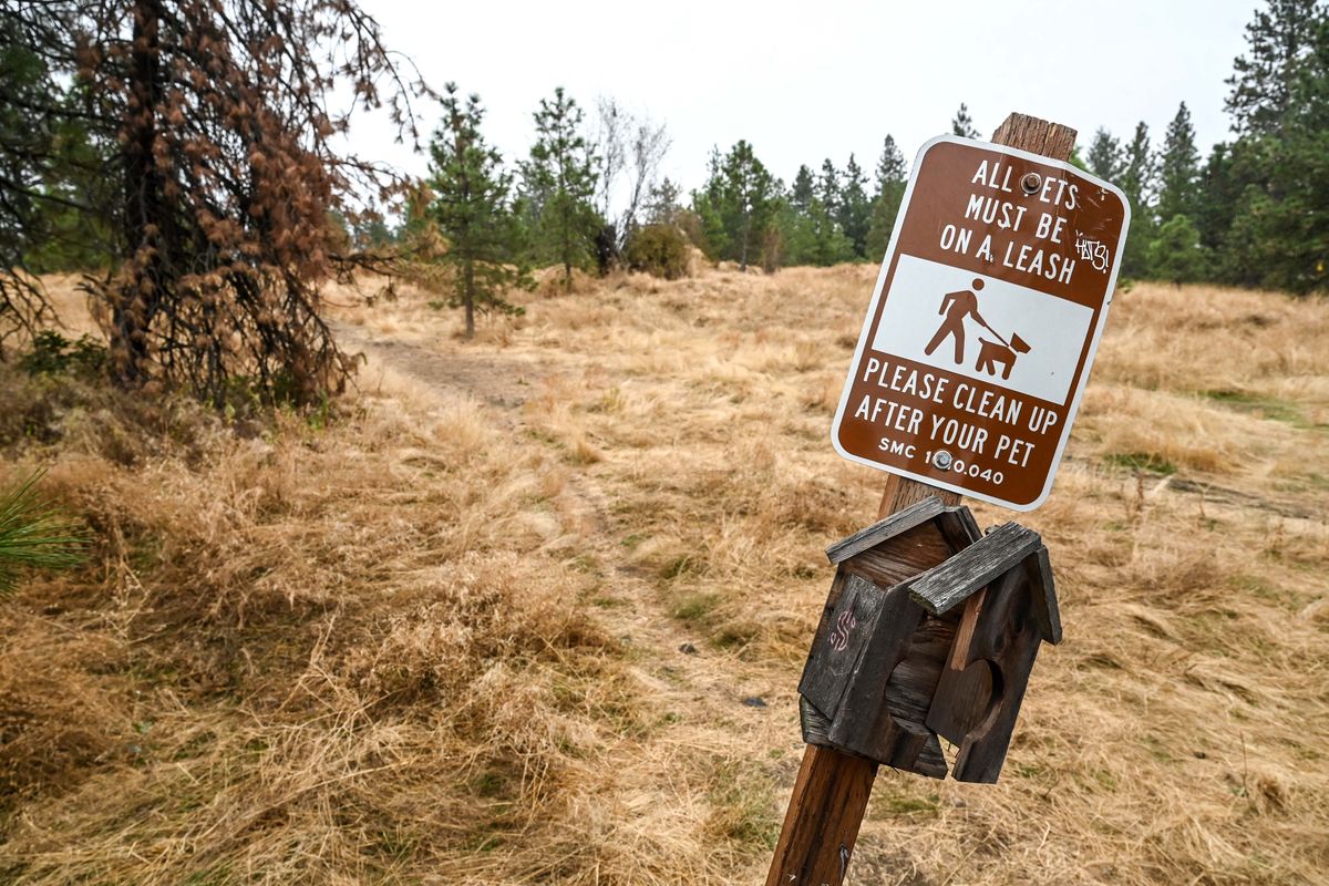 This section of upper Lincoln Park was one of three sites proposed for a fenced-in dog park.  (Dan Pelle/THESPOKESMAN-REVIEW)