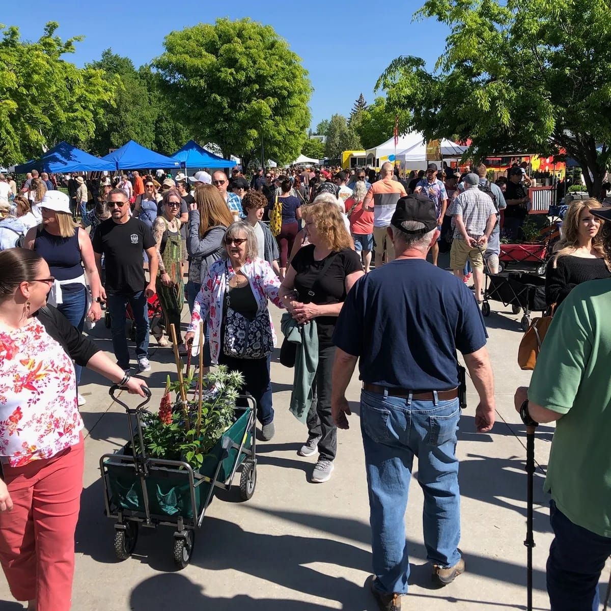 The Inland Empire Gardener’s Expo takes place Saturday at Spokane Community College.  (Courtesy)
